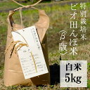 10位! 口コミ数「0件」評価「0」特別栽培米 白米 5kg 令和5年産 コシヒカリ 「ビオ田んぼ米」A-af-ACZA