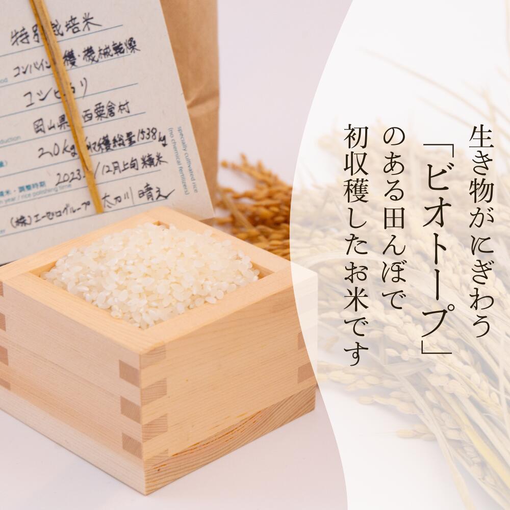 【ふるさと納税】特別栽培米 白米 2kg 令和5年産 コシヒカリ 「ビオ田んぼ米」A-ae-ACZA