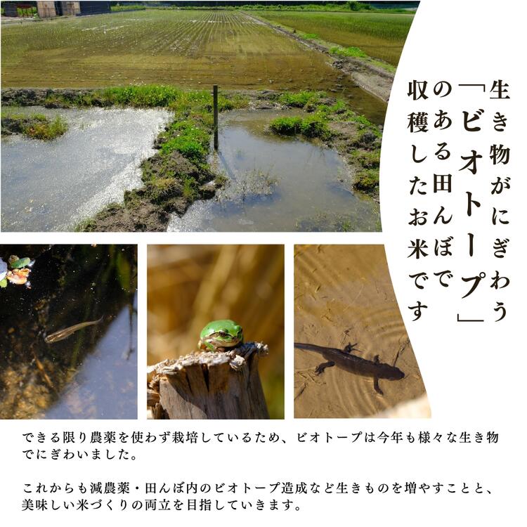 ★2個までなら全国一律送料300円(税込)★国内産 稗 250g 穀の蔵