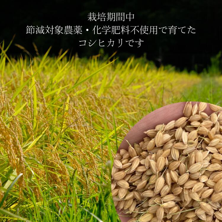 ★2個までなら全国一律送料300円(税込)★国内産 稗 250g 穀の蔵
