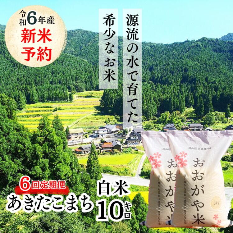 [6回定期便]白米 10kg 令和6年産 あきたこまち 岡山 「おおがや米」生産組合 G-bg-CDZA