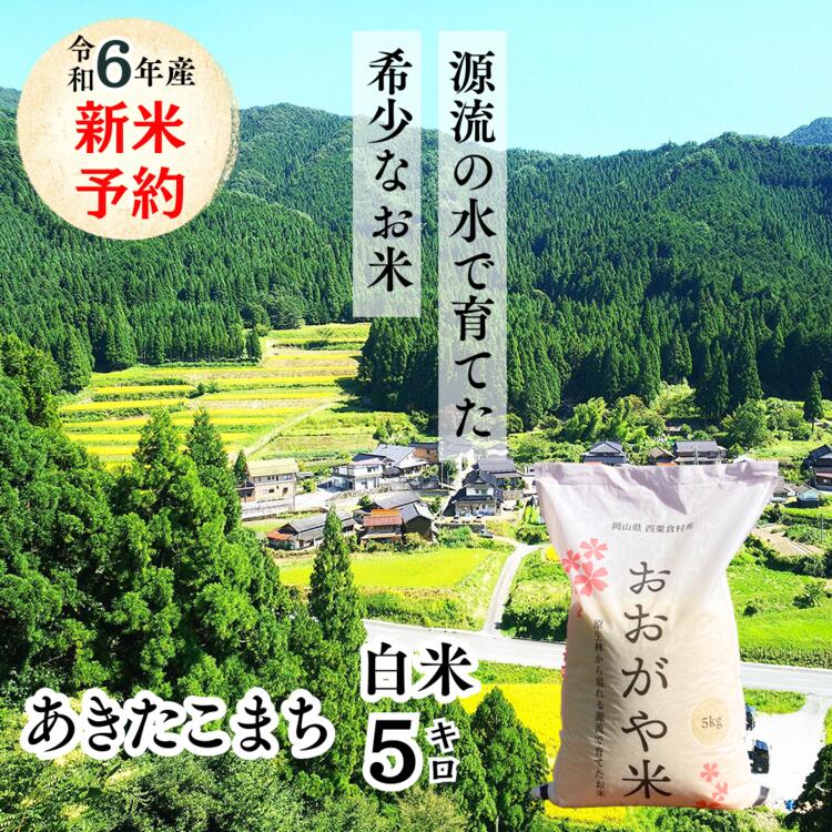 白米 5kg 令和6年産 あきたこまち 岡山 「おおがや米」生産組合 G-bf-ADZA