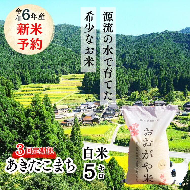 【3回定期便】白米 5kg 令和6年産 あきたこまち 岡山 「おおがや米」生産組合 G-bf-BDZA