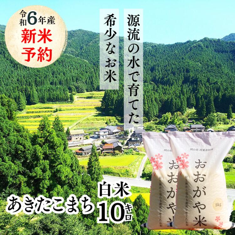 白米 10kg 令和6年産 あきたこまち 岡山 「おおがや米」生産組合 G-bg-ADZA