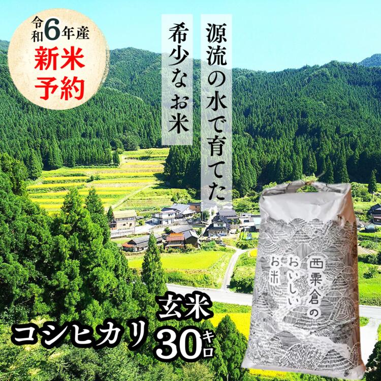 玄米 30kg 令和6年産 コシヒカリ 岡山 「おおがや米」生産組合 G-ad-ADZA