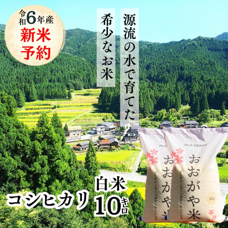 白米 10kg 令和6年産 コシヒカリ 岡山 「おおがや米」生産組合 G-ag-ADZA