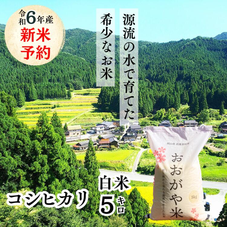 白米 5kg 令和6年産 コシヒカリ 岡山 「おおがや米」生産組合 G-af-ADZA