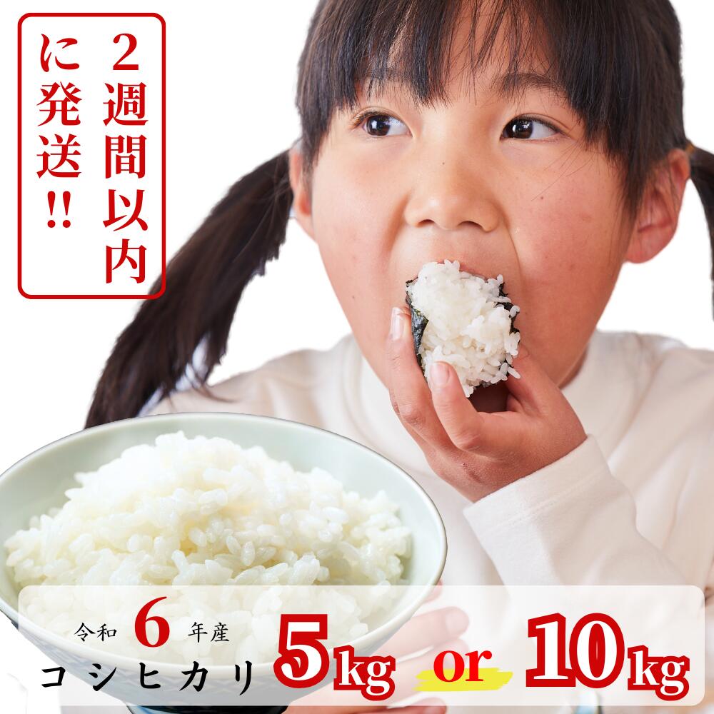 楽天市場】岡山県産 アケボノ 10kgの通販