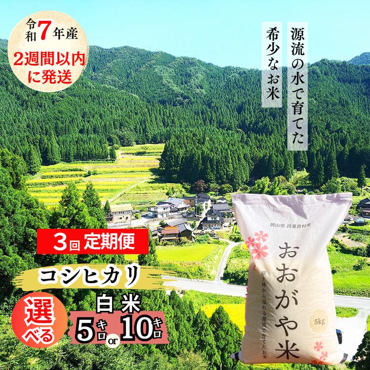 [2週間以内に発送]R7年産 新米受付開始 [3回定期便] おおがや米 コシヒカリ 岡山県 西粟倉村 白米5kg・10kg G-al-BECA