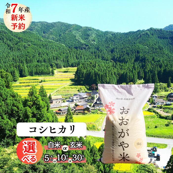 楽天市場】岡山 玄米 30kgの通販 楽天市場】岡山 玄米 30kgの通販