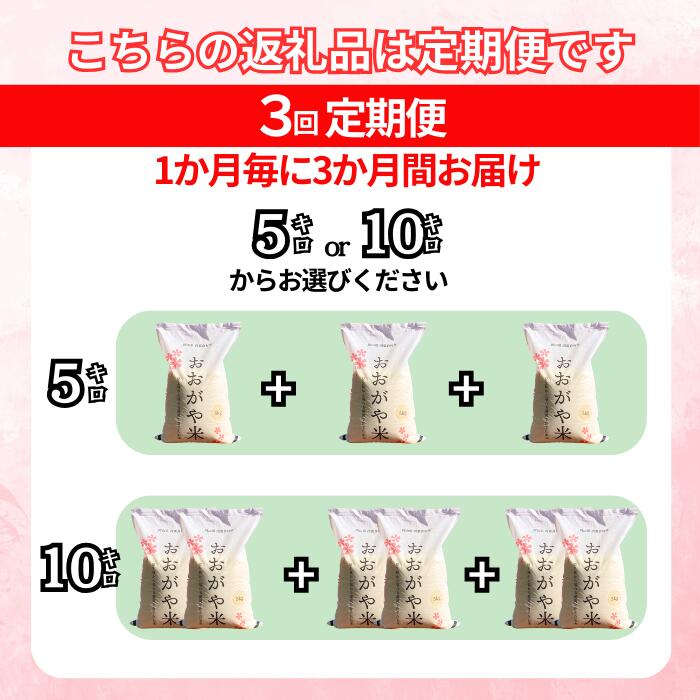 【ふるさと納税】＜2025年10月ごろよりお届け＞R7年産　新米先行予約 【3回定期便】 おおがや米 コシヒカリ　岡山県　西粟倉村　白米5kg・10kg G-al-BECA