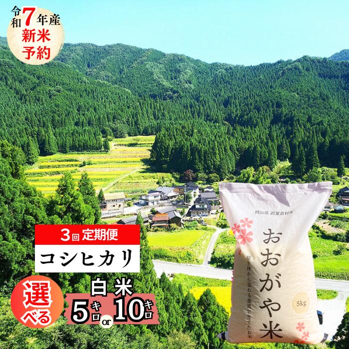 【ふるさと納税】<2025年10月ごろよりお届け>R7年産 新米先行予約 【3回定期便】 おおがや米 コシヒカリ 岡山県 西粟倉村 白米5kg・10kg G-al-BECA