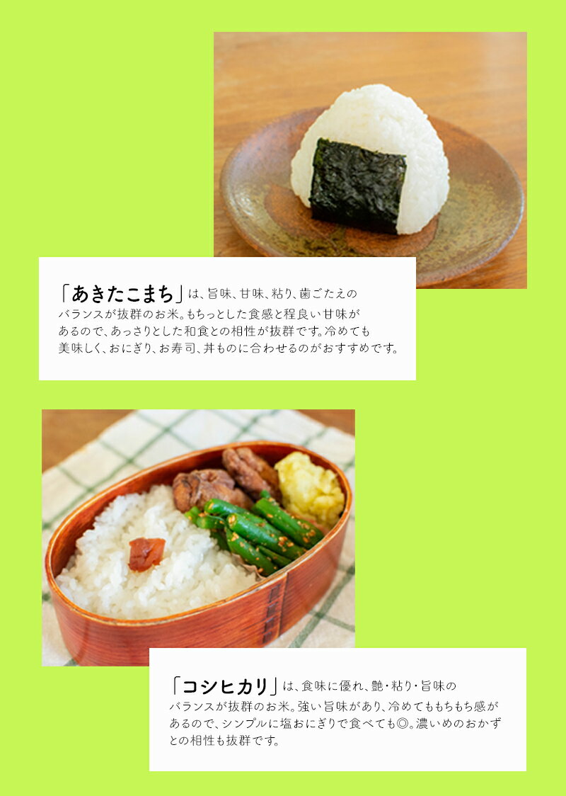 残りわずか ふるさと納税 G23定期便おおがやコシヒカリ白米10kg 6回 配送員設置送料無料 Pornmate Org 残りわずか ふるさと納税 G23定期便おおがやコシヒカリ白米10kg 6回 配送員設置送料無料 Pornmate Org