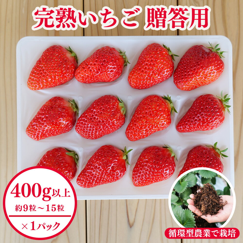 【ふるさと納税】西粟倉村 完熟いちご 贈答用 400g M-FI-A15A