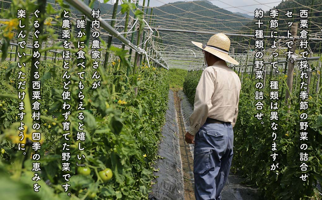 【宅配便】虎豆 「500g」北海道産 とら豆 令和6年産 新豆 高級彩豆 食べて美味しい煮豆の大様