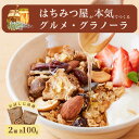 グラノーラ 国産はちみつ使用 ココナッツ・ショコラ 食べ比べセット(100g×2) A-MT-A05A