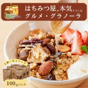 【ふるさと納税】グラノーラ 無添加 国産はちみつ使用 【ノラノーラ ミケ&クロ】ココナッツ・ショコラ ギフト包装 6袋セット(100g×6) A-MT-A06A