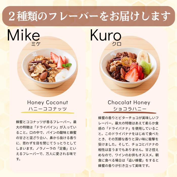 【ふるさと納税】グラノーラ 無添加 国産はちみつ使用 【ノラノーラ ミケ&クロ】ココナッツ・ショコラ A-MT-J05A