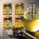 【ふるさと納税】こびとジャム 選べる4種類 苺ラズベリー&ハニー 山椒ブルーベリー&ハニー クラシックマンゴー&ハニー 贅沢バナナショコラ&ハニー A-MM-...