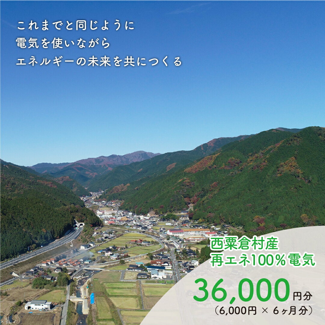 電気料金 （6,000円×6ヶ月分） 百森でんき CO2フリー 地域電力 お礼の電気 脱炭素 ゼロカーボン 岡山県 西粟倉村  e-vv-A04D