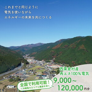 【ふるさと納税】電気料金 百森でんき CO2フリー 地域電力 お礼の電気 脱炭素 ゼロカーボン 岡山県 西粟倉村 【まずは寄付のお申し込みを!】 e-vv-J01D