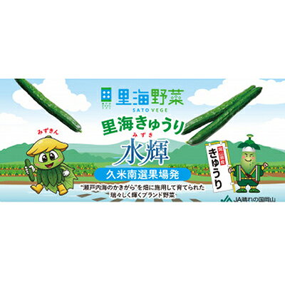 【ふるさと納税】久米南町産　里海きゅうり 20本入(約3kg)【配送不可地域：離島・北海道・沖縄県】【1727201】
