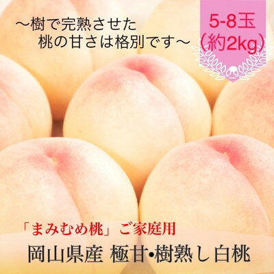 【ふるさと納税】【2027年発送】岡山県産 極甘・樹熟し白桃『まみむめ桃』(ご家庭用) 化粧箱入り【配送不可地域：離島】【1779251】
