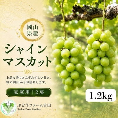【2027年発送】岡山県産シャインマスカット家庭用 計1.2kg(2房)【配送不可地域：離島】【1780423】