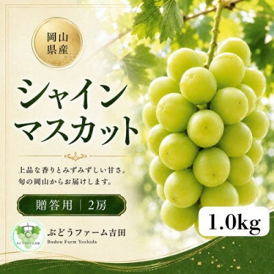 【2027年発送】岡山県産シャインマスカット贈答用 計1.0kg(2房)【配送不可地域：離島】【1780425】