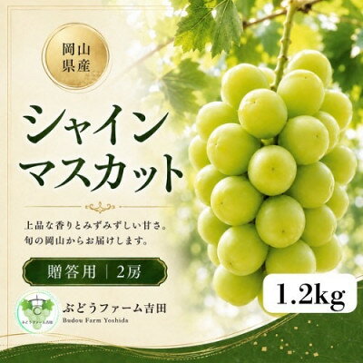 【2027年発送】岡山県産シャインマスカット贈答用 計1.2kg(2房)【配送不可地域：離島】【1780427】