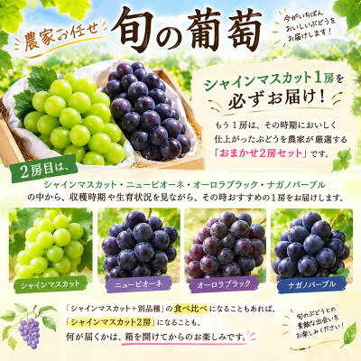 2027年発送【贈答用】岡山県産葡萄詰め合わせ 計1.4kg(2房)【配送不可地域：離島】【1780440】