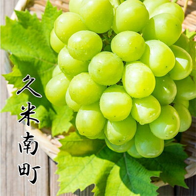 【ふるさと納税】〈2026年発送先行予約〉シャインマスカット700g以上(1房)【贈答品】岡山県久米南町産【配送不可地域：離島・北海道・沖縄県】【1016879】