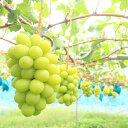 岡山県久米南町の画像3