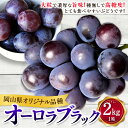 岡山県美咲町の画像3