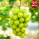 3位! 口コミ数「4件」評価「4」シャインマスカット 晴王 約2kg 23000円 2万3000円 マスカット ぶどう ブドウ 葡萄 グレープ フルーツ 果物 デザート おやつ 種なし 皮ごと 高級 旬 先行予約 季節限定 岡山県 美・・・