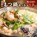 【ふるさと納税】国産牛 もつ鍋 セット〈選べる〉約600g または 約1.2kg 醤油もつ鍋 もつ鍋 モツ鍋 鍋 鍋セット モツ もつ 牛もつ 牛モツ 醤油 ス...