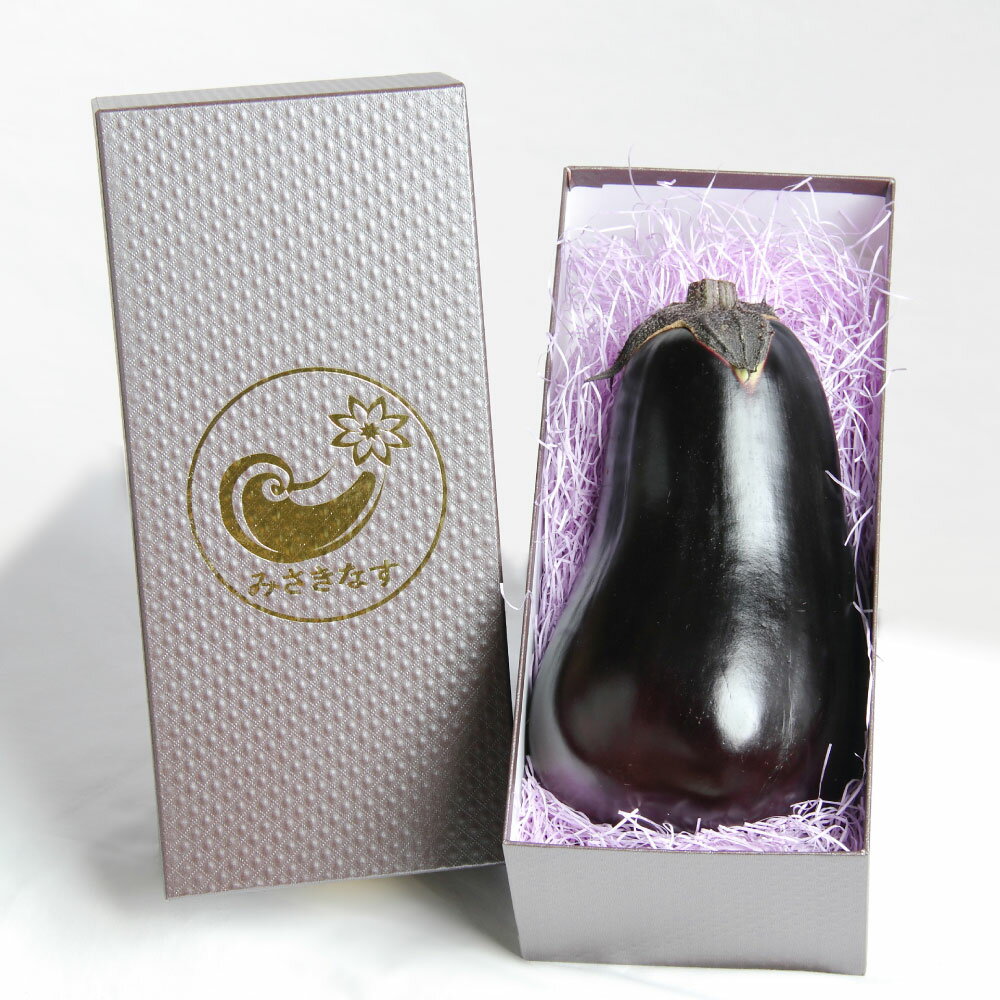 【ふるさと納税】【選べる容量】 カッシーファームのみさきなす 1個 約1kg または 2個 合計約1.9kg なす 茄子 ナス ジャンボナス 自家製 野菜 国産 岡山県 美咲町 送料無料 【2024年8月上旬-9月下旬発送予定】