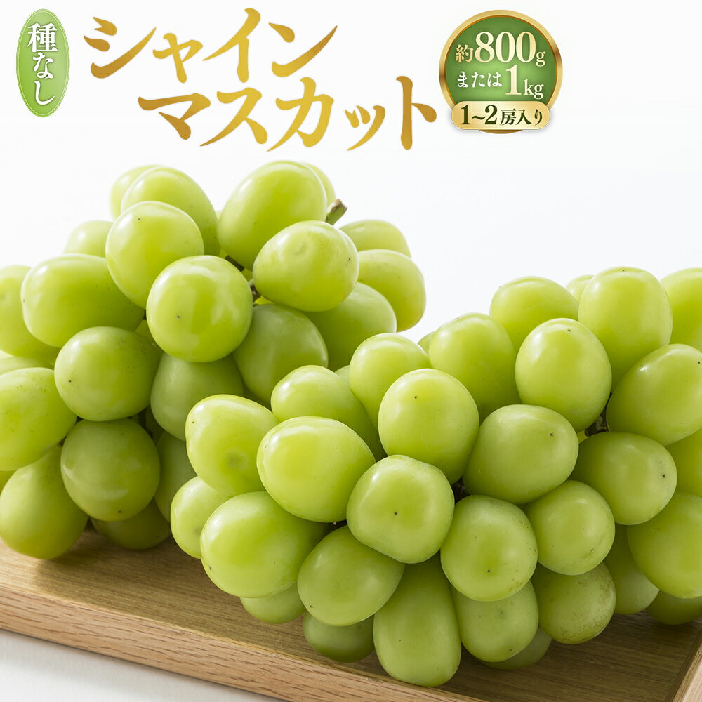 [種なし]岡山県産 シャインマスカット[選べる内容量]約800g(1房入り)または 約1kg(2房入り)マスカット ぶどう ブドウ 葡萄 大粒 フルーツ 果実 果物 くだもの 国産 岡山県 美咲町 送料無料[2025年10月上旬-11月下旬発送予定]