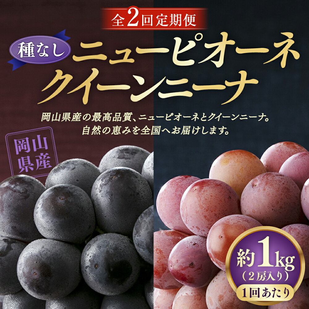 【ふるさと納税】【定期便2回】【種なし】岡山県産 ニューピオーネ・クイーンニーナ 約1kg 箱 2房入り ぶどう ブドウ 葡萄 大粒 フルーツ 果実 果物 くだもの 国産 岡山県 美咲町 送料無料【2025年8月下旬発送開始】