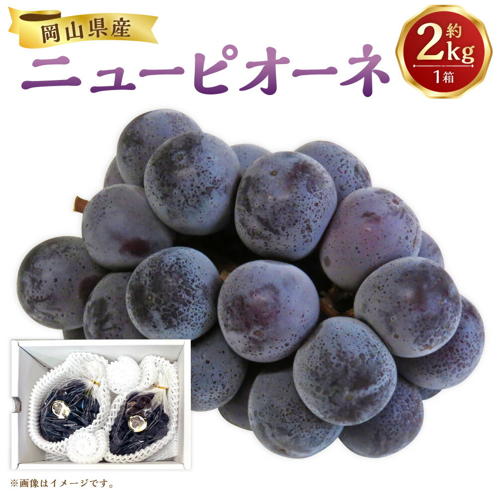 [先行予約]岡山県産 ニューピオーネ 約2kg 1箱 ぶどう ブドウ フルーツ 果実 くだもの 果物 お取り寄せ 常温 岡山県 美咲町 送料無料[2026年8月下旬-9月下旬発送予定]