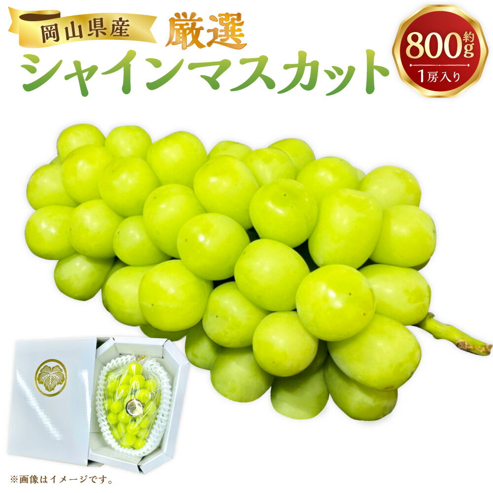 [先行予約]厳選 シャインマスカット 約800g 1房入り マスカット ぶどう ブドウ フルーツ 果実 くだもの 果物 お取り寄せ 常温 岡山県 美咲町 送料無料[2026年9月下旬-10月下旬発送予定]