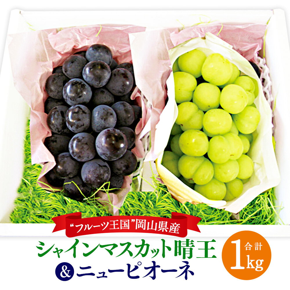 岡山県産 シャインマスカット 晴王 ＆ ニューピオーネ 約500g × 各1房 計約1kg 種無し マスカット ピオーネ ぶどう フルーツ くだもの 果物 お取り寄せ デザート 岡山県 美咲町 送料無料 【2024年8月下旬～10月上旬迄発送予定】