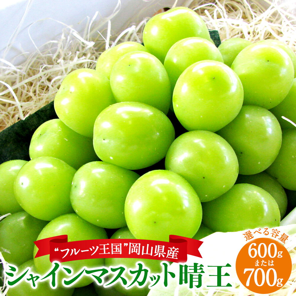 岡山県産 シャインマスカット 晴王 1房 〈選べる〉約600g または 約700g 種無し マスカット ぶどう 葡萄 ブドウ フルーツ くだもの 果物 お取り寄せ デザート 岡山県 美咲町 送料無料 【2024年8月下旬～10月上旬迄発送予定】