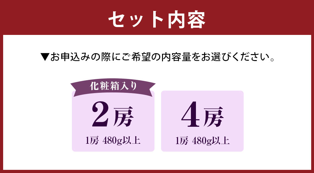 【ふるさと納税】＜選べる内容量＞ ニューピオーネ 1房480g以上 2房 化粧箱入り / 4房 ぶどう ブドウ 葡萄 フルーツ くだもの 果物 果実 デザート 冷蔵 岡山県産 国産 岡山県 美咲町 送料無料 【2026年8月下旬～10月上旬迄順次発送予定】