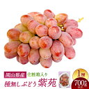 21位! 口コミ数「0件」評価「0」紫苑 1房 700g以上 化粧箱入り ぶどう ブドウ 葡萄 くだもの 果物 果実 フルーツ ギフト 贈答 冷蔵 国産 岡山県 美咲町 送料無料 【2025年10月下旬~11月下旬まで発送予定】