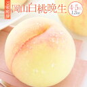 【ふるさと納税】【ご家庭用】岡山白桃 晩生 4〜5玉 約1.2kg 白桃 桃 もも モモ 果物 くだもの フルーツ おやつ デザート 冷蔵 岡山県産 岡山県 美...