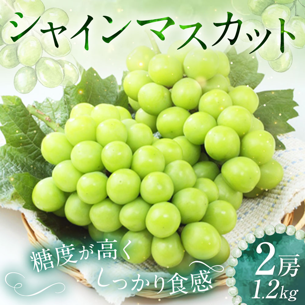 【ふるさと納税】シャインマスカット 2房 約1.2kg マスカット ぶどう ブドウ 葡萄 種なし 果物 くだもの フルーツ おやつ デザート 冷蔵 岡山県産 岡山県 美咲町 送料無料【2025年9月上旬～10月下旬発送予定】