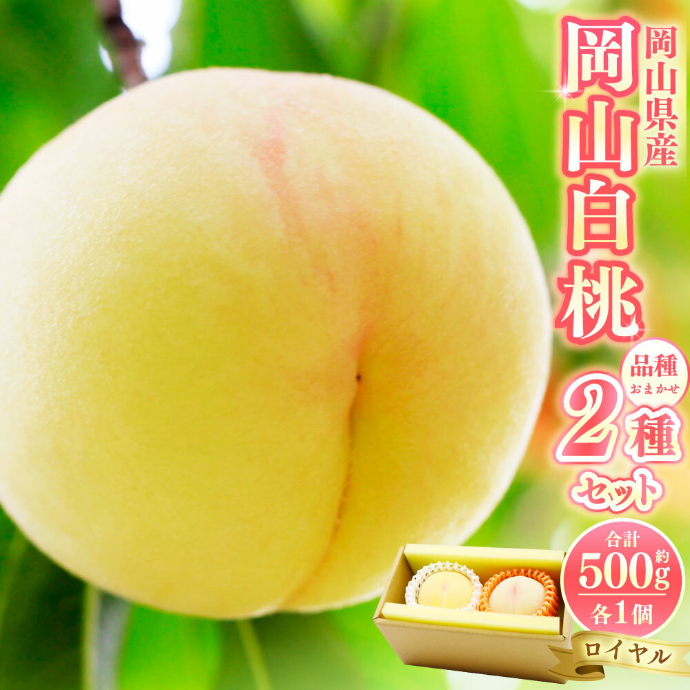 岡山 白桃 2種2玉 ( ロイヤル ) 500g ( 計 1kg ) [ 2026年7月上旬から9月上旬頃発送予定 ] 果物 くだもの フルーツ もも 桃 甘い 香り 柔らかい ジューシー 美味しい 岡山県 美咲町 送料無料