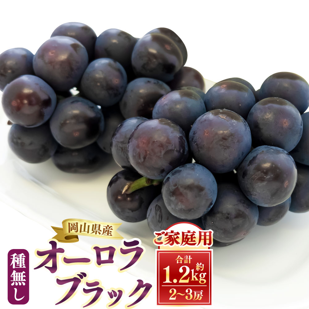 [ ご 家庭 用 ] オーロラブラック 2〜3房 1.2kg [ 2026年9月上旬から10月上旬頃発送予定 ] 果物 くだもの フルーツ ぶどう ブドウ 葡萄 種無し 大粒 甘味が強い 甘い 果汁 食べ応え 岡山県 美咲町 送料無料
