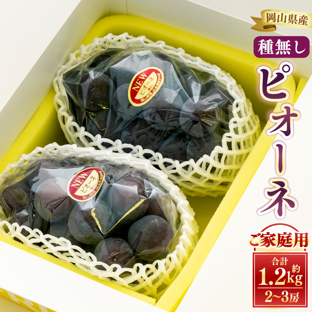 [ ご 家庭 用 ] ピオーネ 2〜3房 1.2kg [ 2026年9月上旬から10月上旬頃発送予定 ] 果物 くだもの フルーツ ぶどう ブドウ 葡萄 大粒 甘味が強い 甘い 果汁 食べ応え 岡山県 美咲町 送料無料